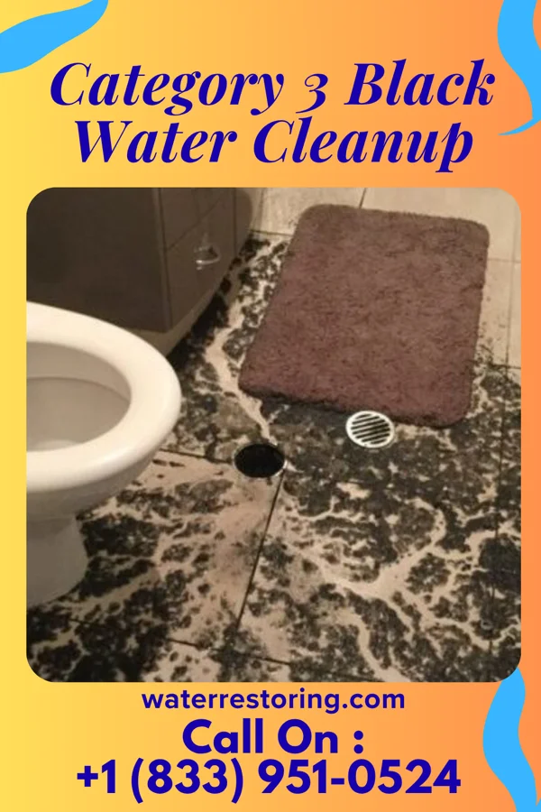 Category 3 Black Water Cleanup in Rock Island, OK